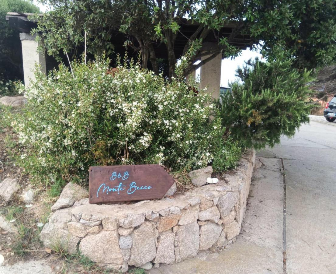 Monte Becco Santa Teresa Gallura